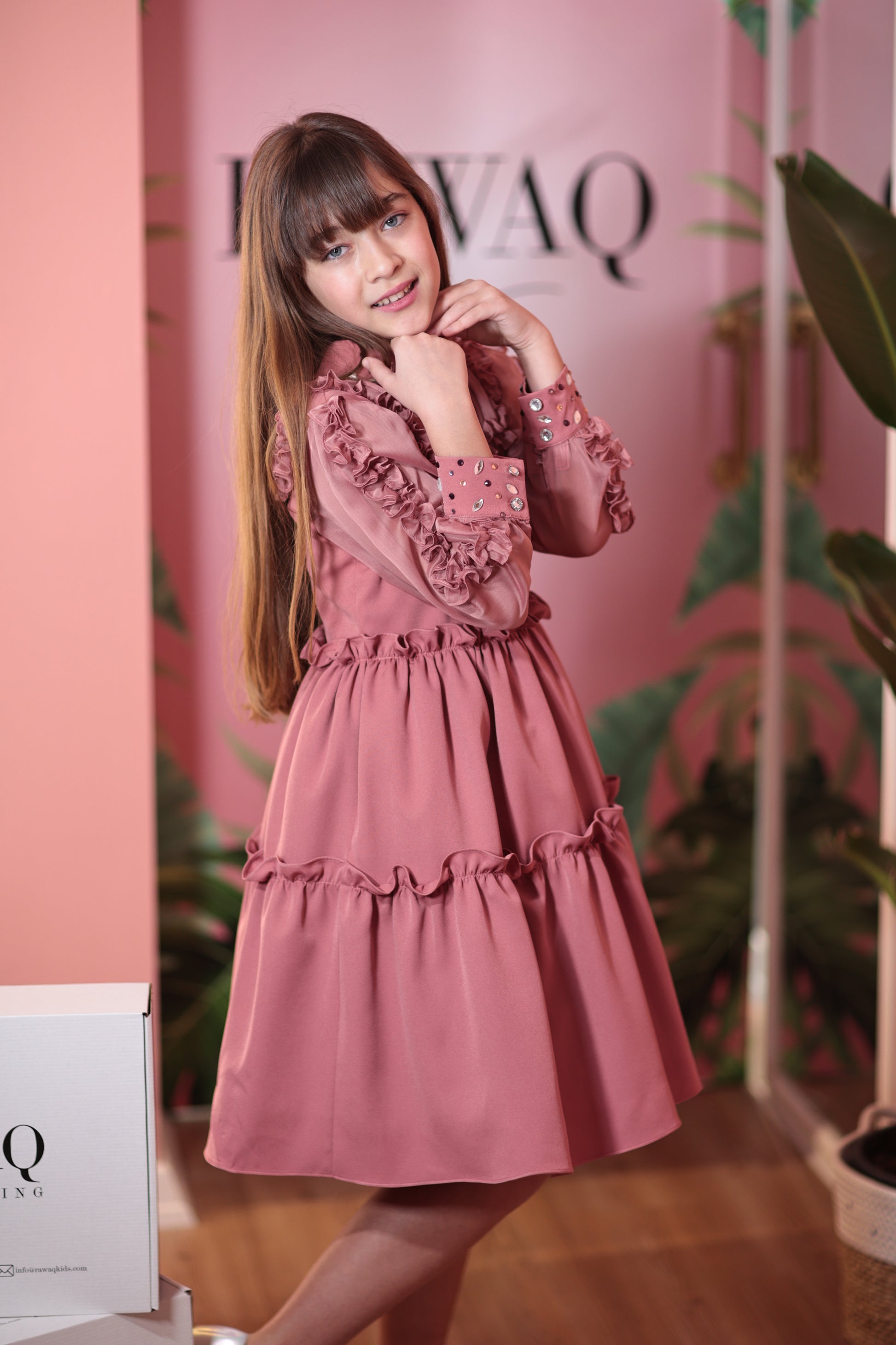 Rose Dust Dress